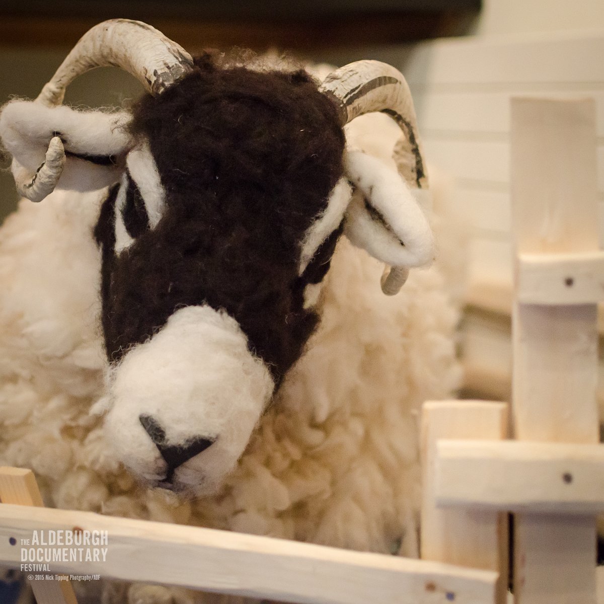Alde Docfest 2015 Pre Addicted to Sheep WM-6