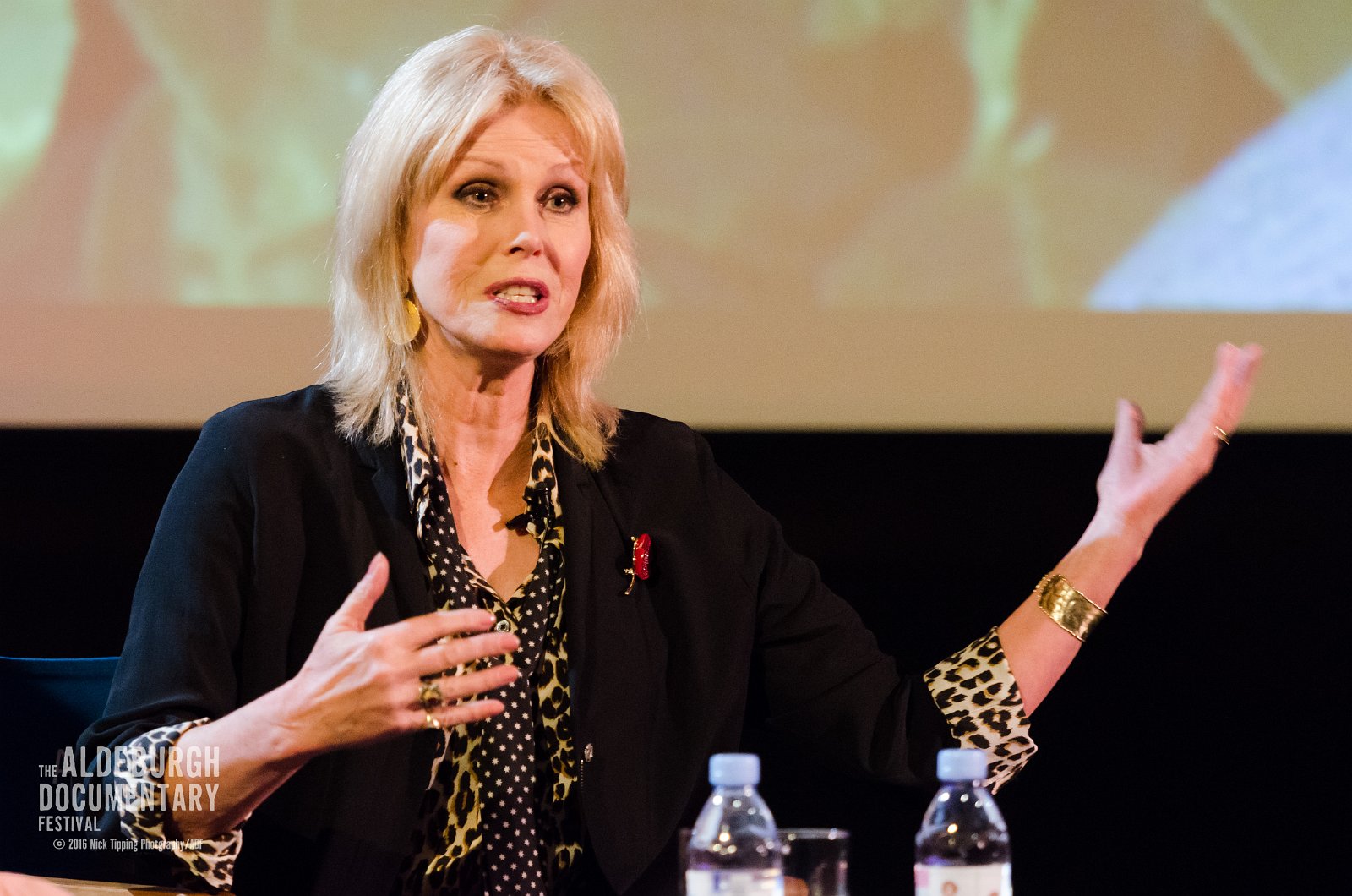 ADF 2016 Saturday Morning Joanna Lumley WM-91